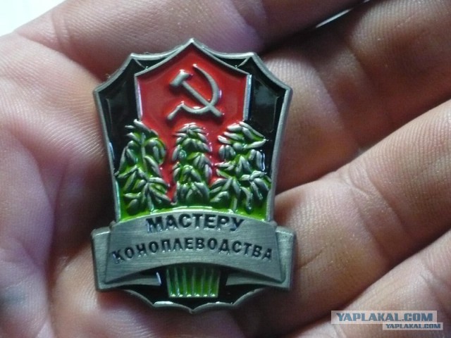 Дуйте к нам