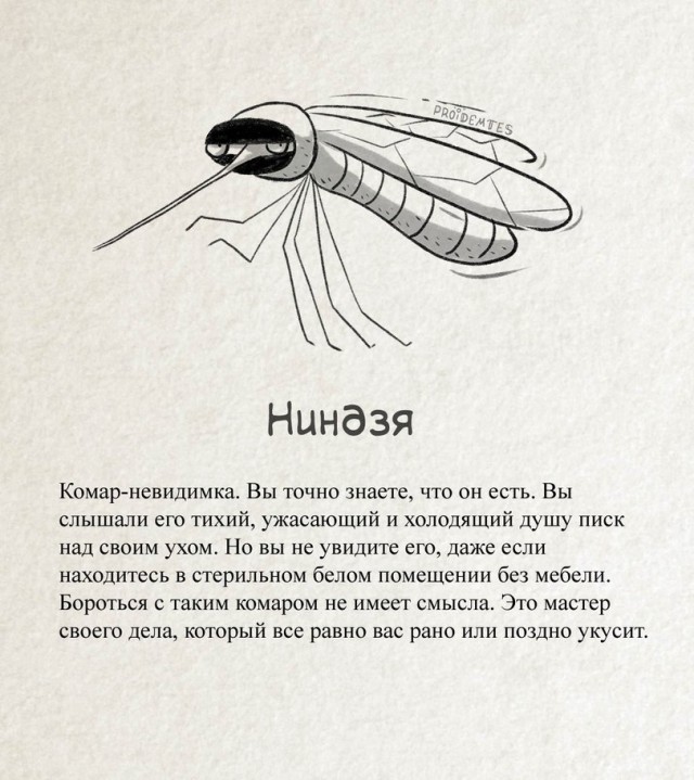 Нестандартный юмор