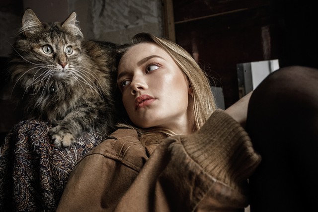 Котовторник  06.03.2018