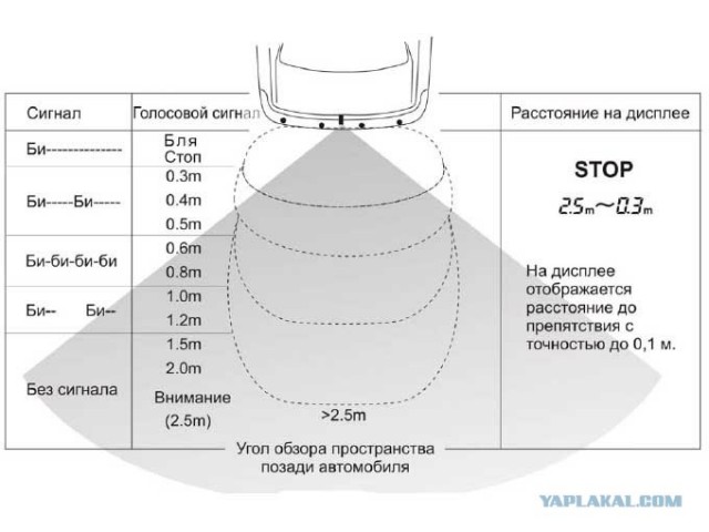 Автоворишки любят парктроник