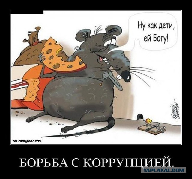 Интерпол не нашел диплома судьи Елены Хахалевой.