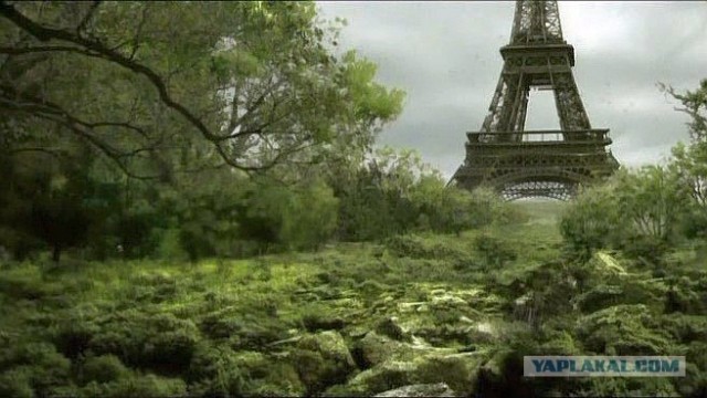 Утонувшие в траве