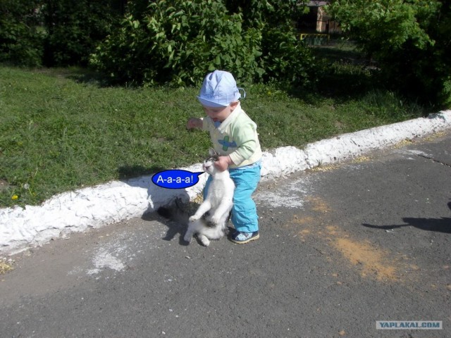 Ребёнок и кот