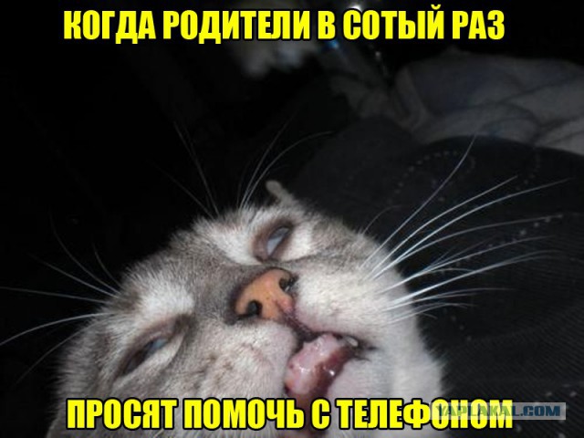 Не очень адекватный юмор