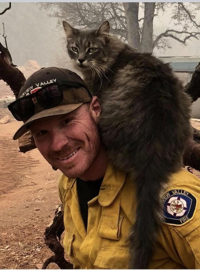 Животные пережившие пожар в Калифорнии.