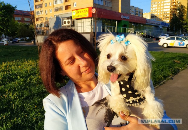 Собакочетверг господа!