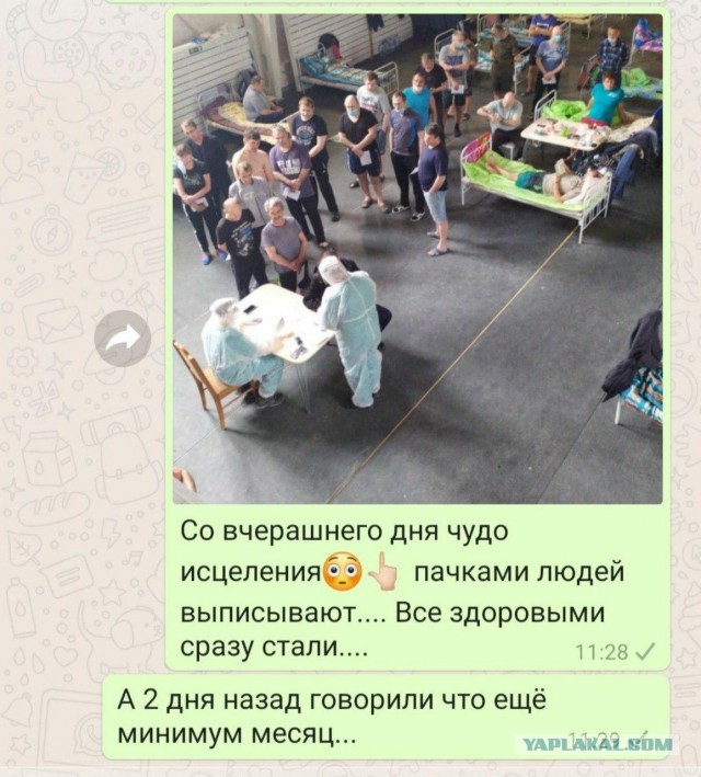 Пришел, увидел, наследил (с)