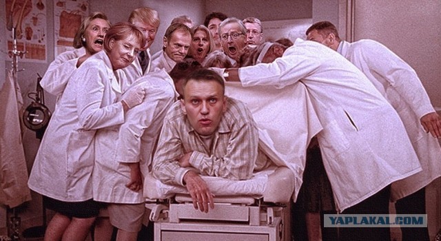 Как встречают Навального в Германии!