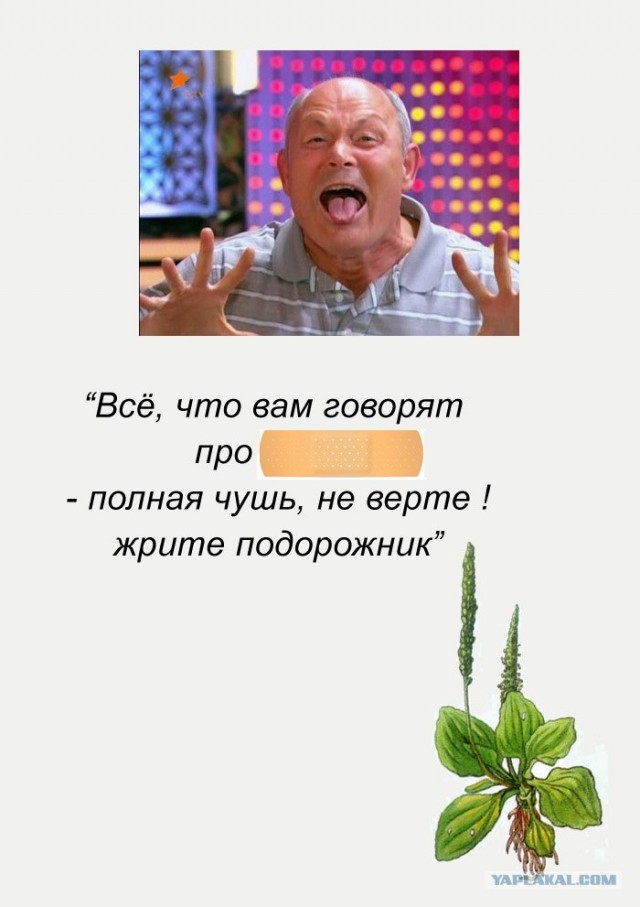Фотожаба: Пластырь