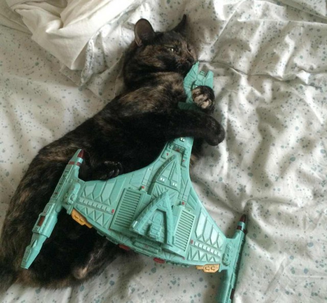 Подборка забавной живности