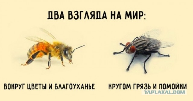 А мы им нужны? О роли запада в нашем светлом будущем