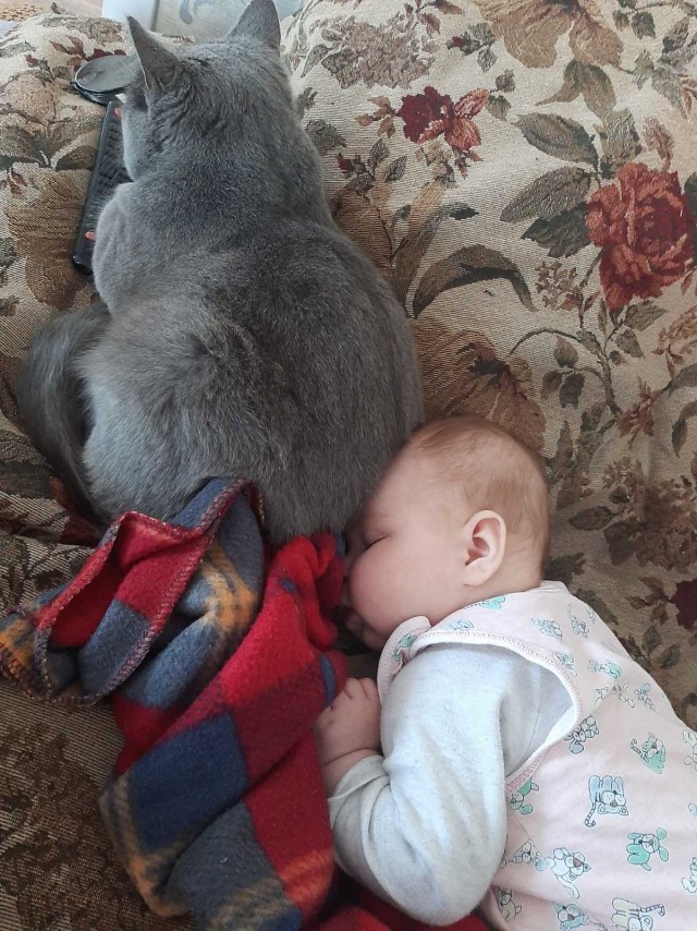 Подборка душевных фотографий, которые восполнят нехватку добра
