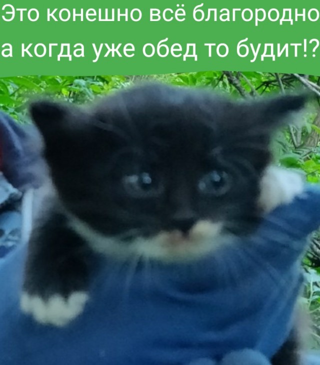 Звонок с того света