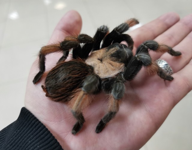 Последнее фото