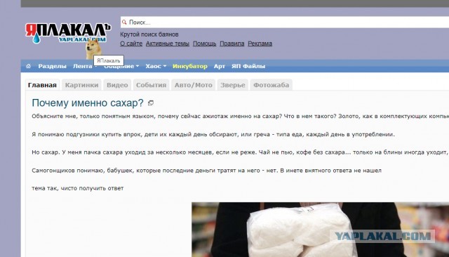 Как поймать собаку