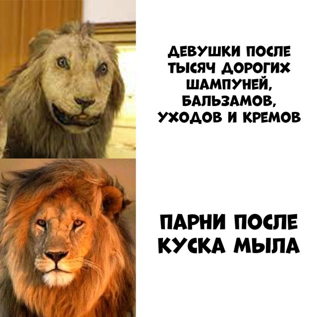 Весёлый полтишок 26.04.22