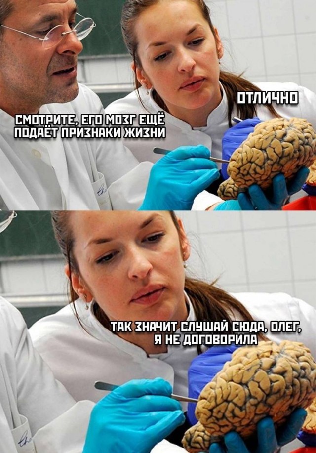 Актуальные мемы 2025 год Немного мемчиков. Для взрослых 18+. Часть 13 - ЯПлакалъ