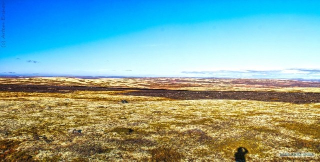 Териберка и окрестности...