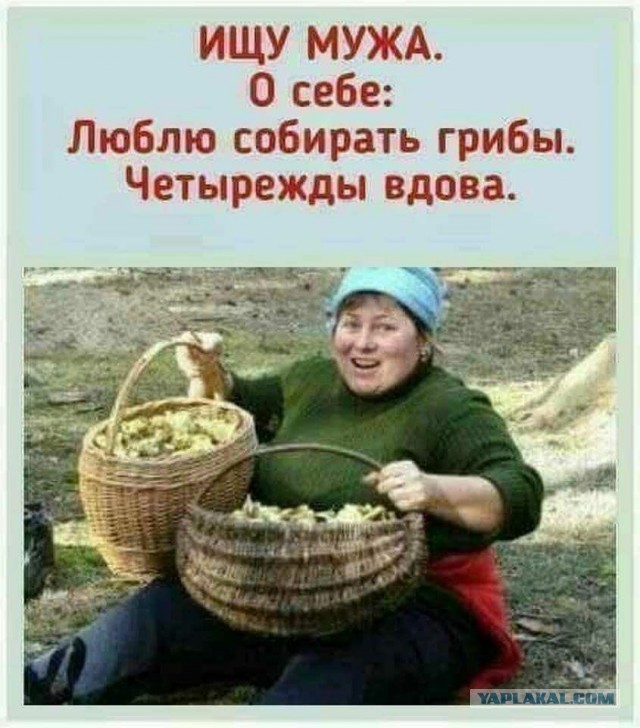 О себе: милая
