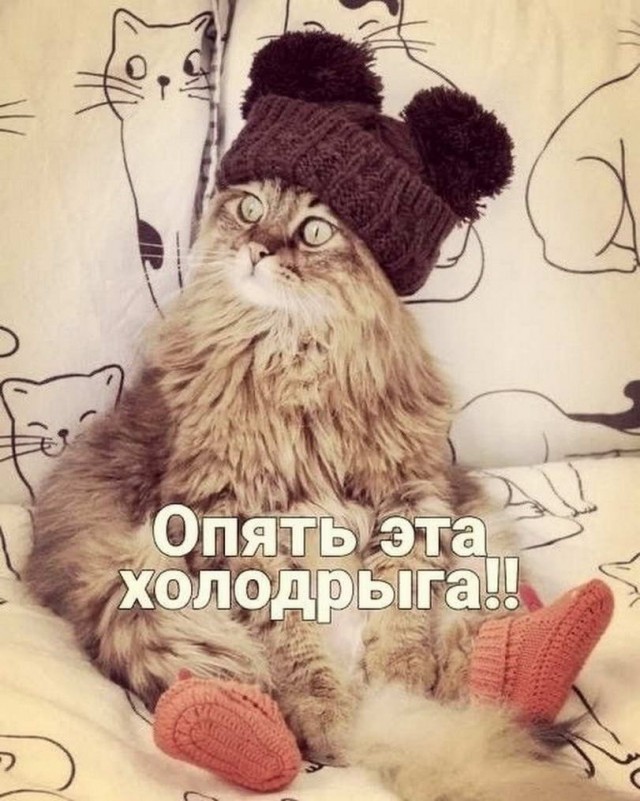 50 оттенков серого или самосвал баянов. Vol.27