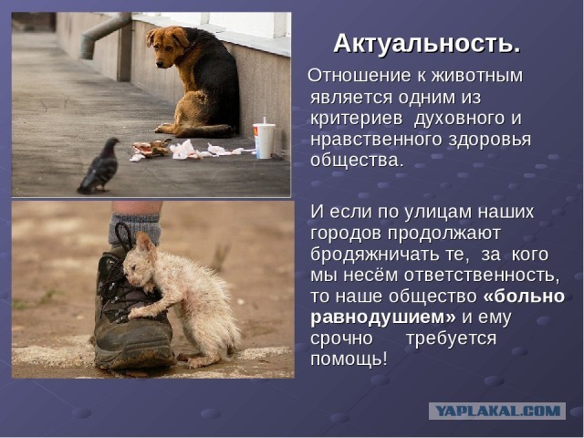 Картинок вам