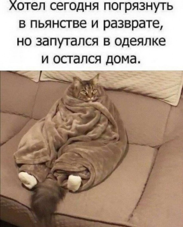 Картинки и мемы для настроения - 015