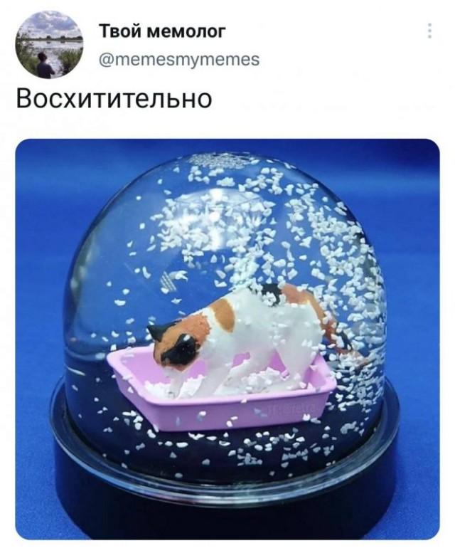 Картинки и мемы, всем хороших выходных