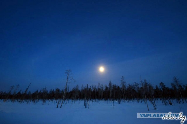 Дорога, которой нет: зимник Вуктыл - Воркута