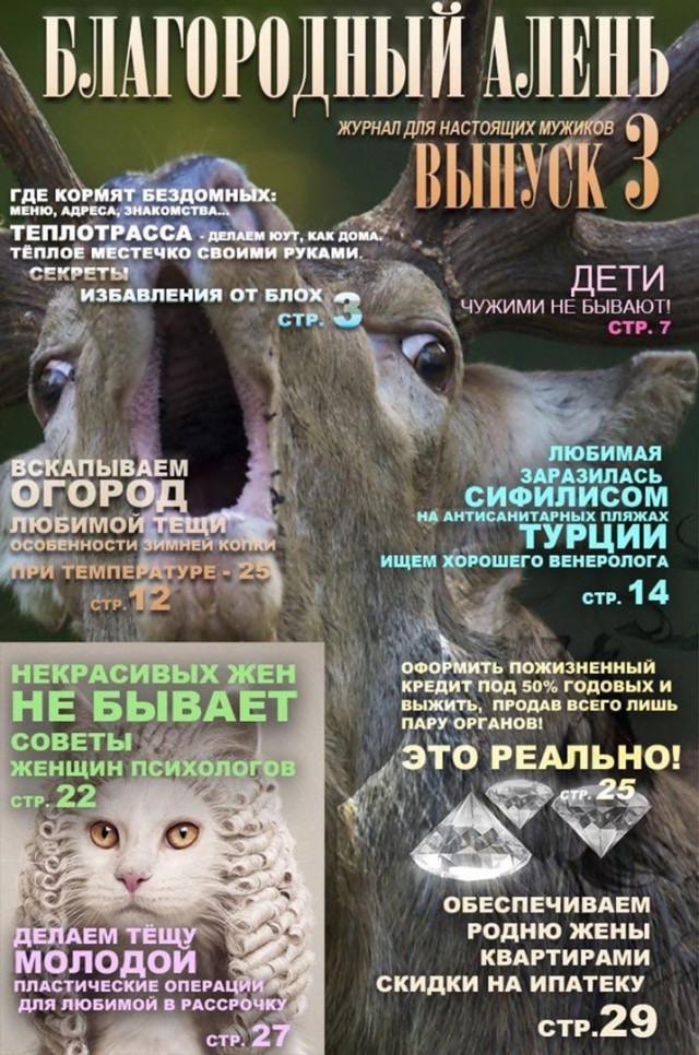 Когда жена запретила пить