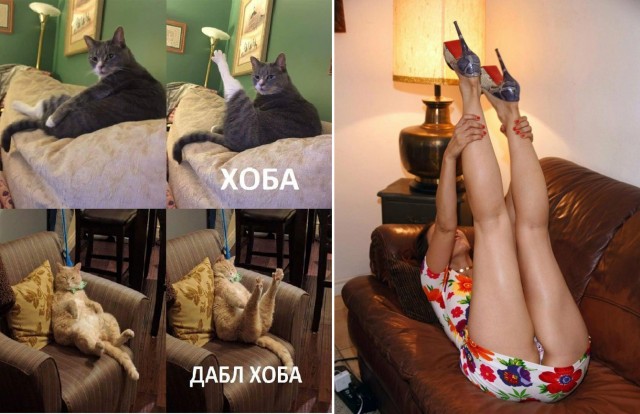 Обычные красивые девушки.