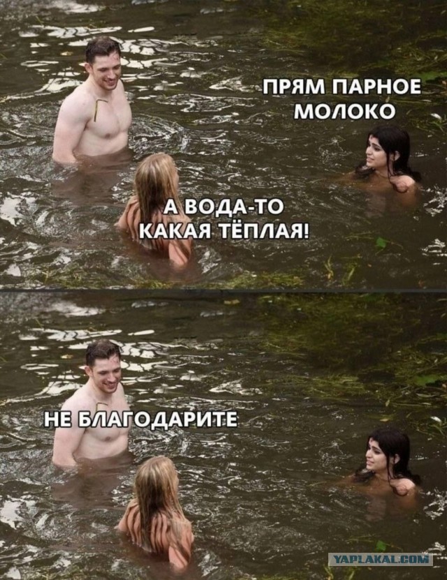 Легким движением руки бесплатные туалеты на набережной Геленджика стали платными