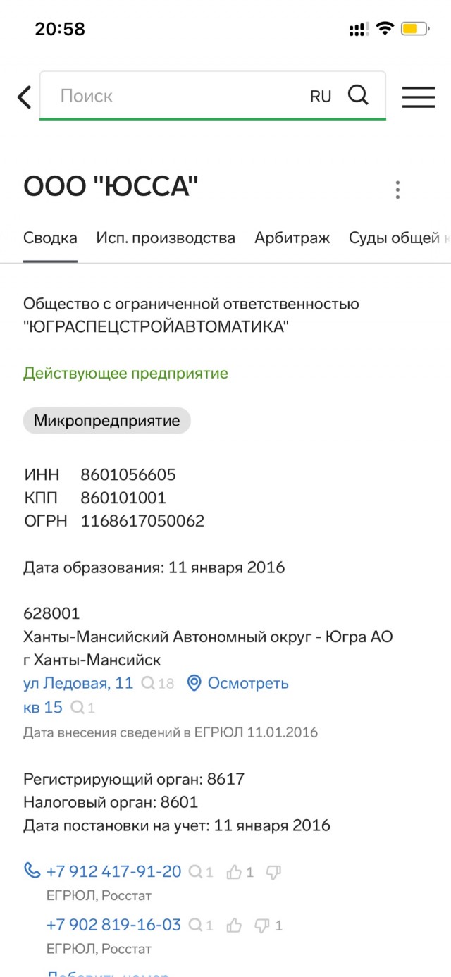 Найдена компания с самой большой  годовой выручкой в РФ.