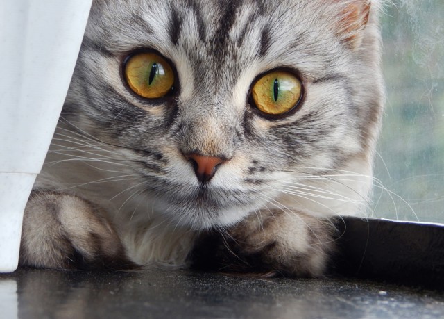 Природа Южного Урала