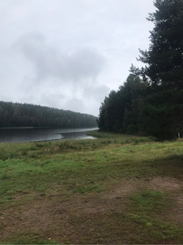 А ведь жизнь не так и плоха...