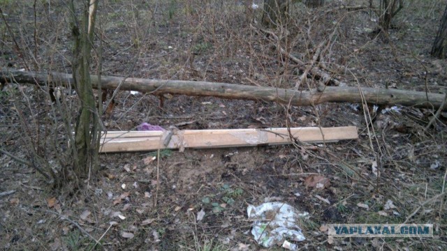 Сходил в лес