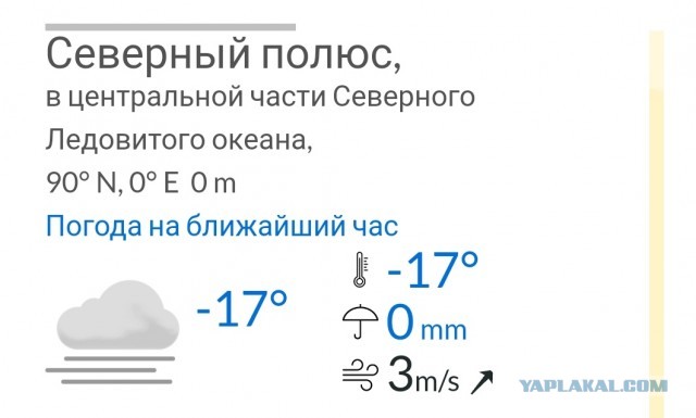 Как вам погода