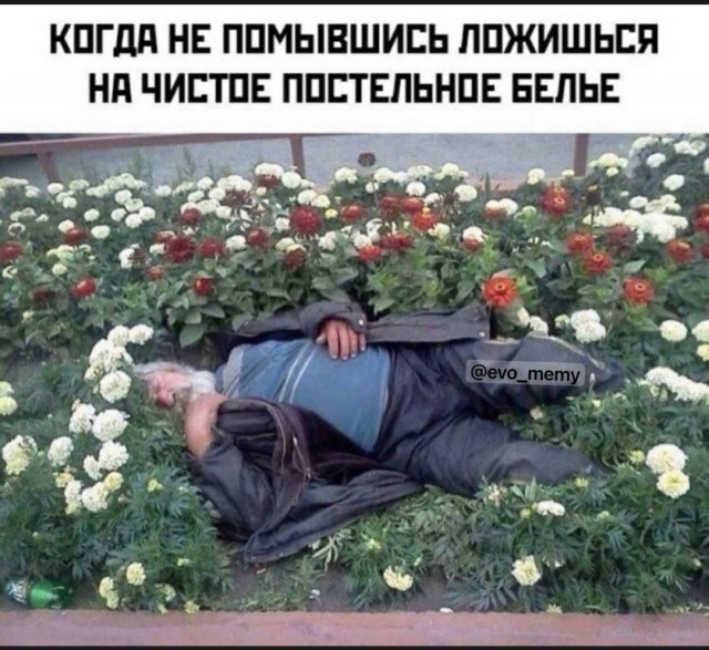 Решил найти жену. Женщины 33-37 лет... Наблюдения