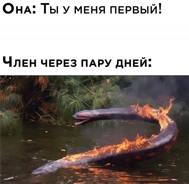 Всего понемногу. От 12.01
