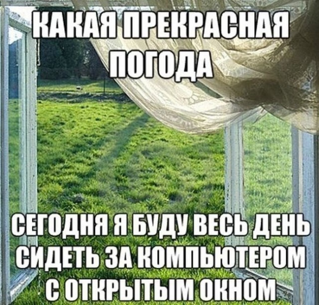 Всего понемногу. От 07.04.2024
