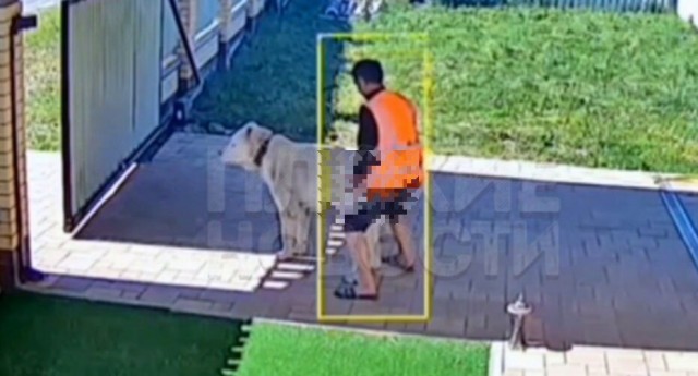 Водителем упавшего в Мойку автобуса был 44-летний уроженец Таджикистана Рахматшох Курбонов