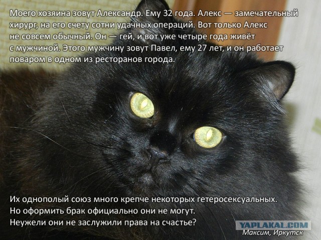 Волна протеста против гомофобии