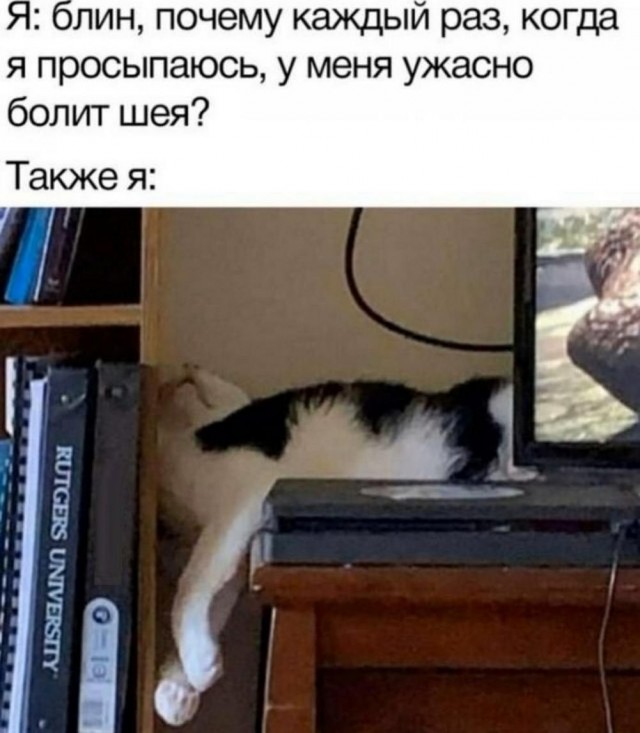 Всего понемногу. От 24.06.2024