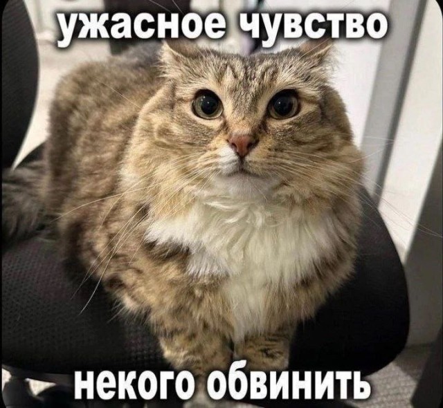 Сборник бабаянов или неожиданная помойка от Неждалигады