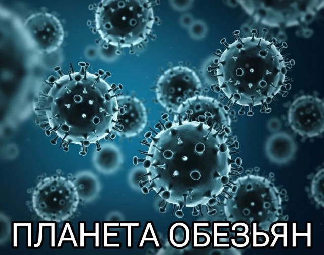 Ребята, готовимся: очередной вирус-мутант выявили в Африке. Крайне заразный — 15 000 госпитализированных