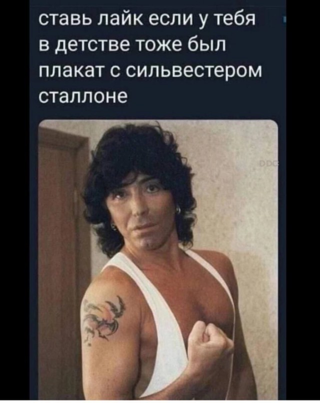 Прикольные и просто красивые картинки