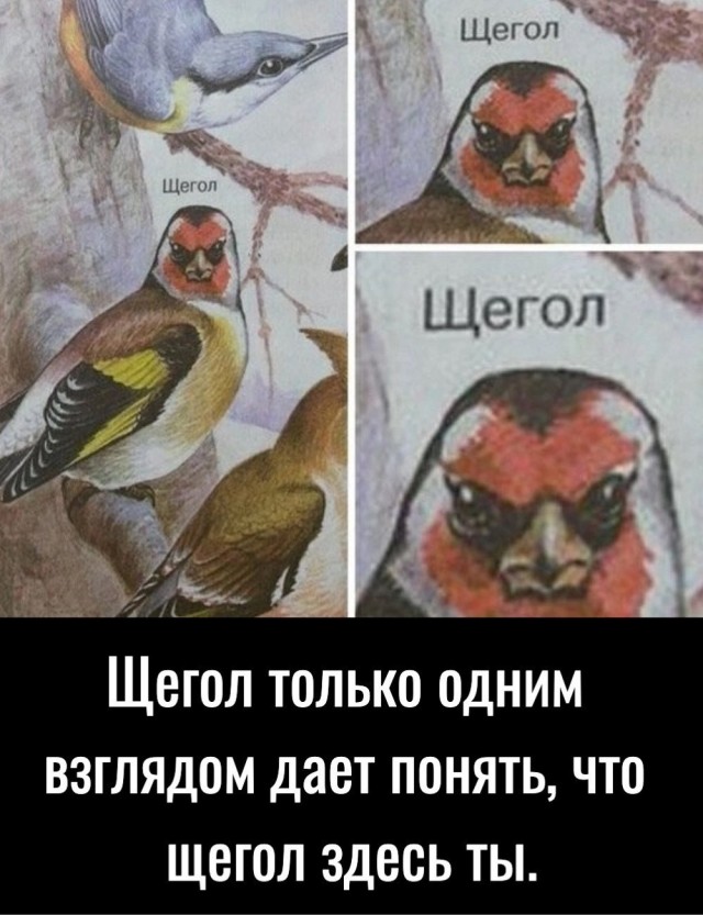 Завалялось тут случайно немного забавных картинок