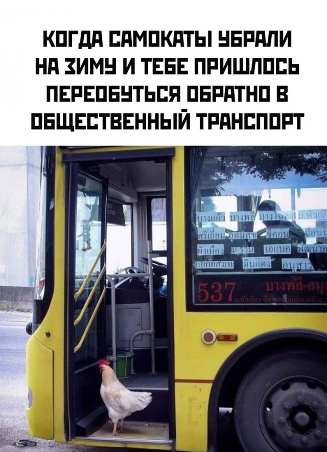 Так себе картинки 08.10.24