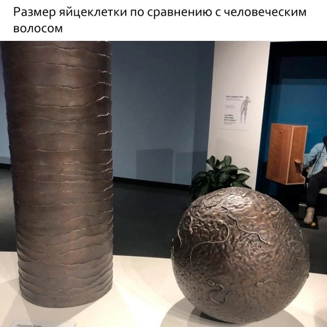 Так себе картинки 24.10.24