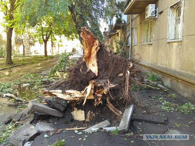 Ураган в Одессе