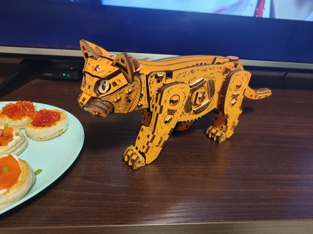 Кот кинетический
